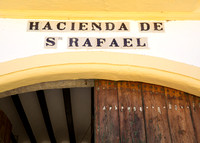 Georgie & Ed - Hacienda De San Rafael - Seville