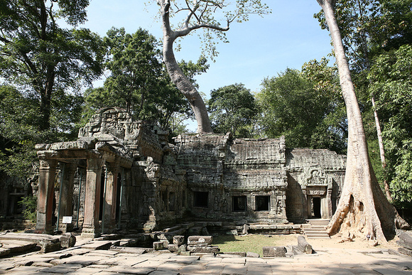 Angkor Wat_trees roots growing over temples_  646